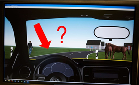 Figure: View of the steering wheel of a vehicle and view from the windscreen