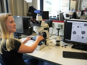 Studierende am Mikroskop für Versuch