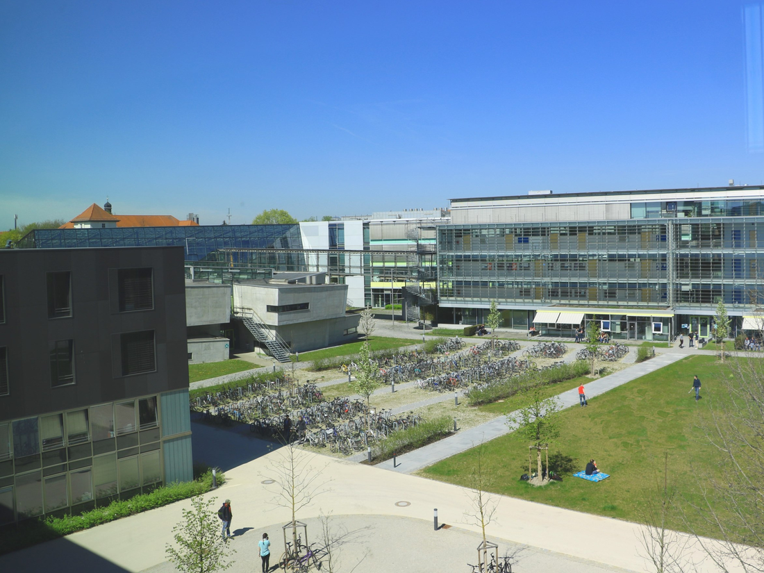 Blick auf Campusgebäude und Wiese, ca. 2019