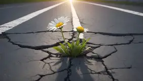 Symbolbild Resilienz, Löwenzahn, der Asphalt durchbricht