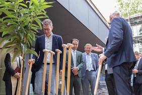 Practical sustainability: A sweet chestnut was planted at the opening of the modular building (Photo: THI).