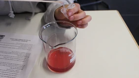 The DNA gets extracted from the red liquid. 