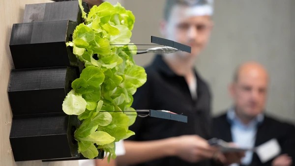 The prototype of the winning team 2023: a vertical garden made of recycled materials (Photo: THI).