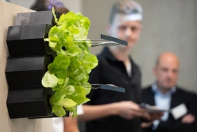 Der Prototyp des Gewinner-Teams 2023: ein vertikaler Garten aus recycelten Materialien (Foto: THI).