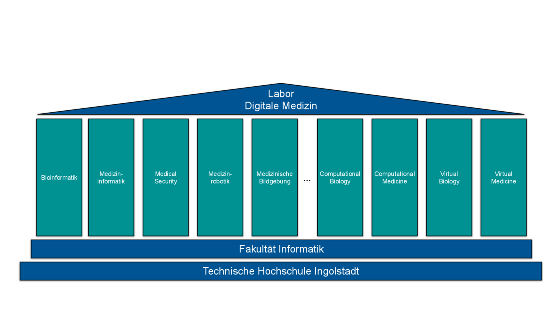 Themenschwerpunkte im Labor, z.B. Medizinrobotik, Comp. Biology usw., 