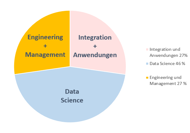 Anteile im Studium: Data Science 45 %, Engineering udn Management 27 %, Integration und Anwendung 27 %