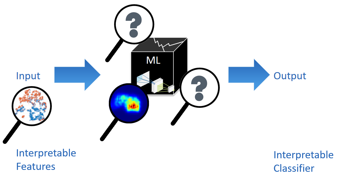 Cracking open the black box by generating interpretable features