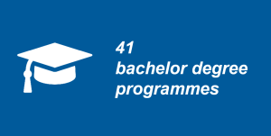 bachelor degree programmes